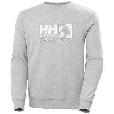 Pánské Svetry Helly Hansen Arctic Ocean Sweat Šedé | OQTHX-7586